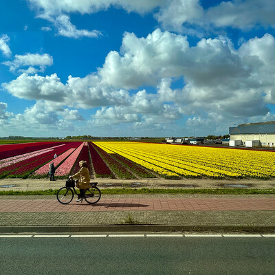 [jan@dembowski:~]$ :idle: